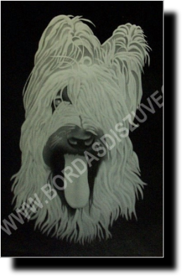 Fénykép alapján készült Briard